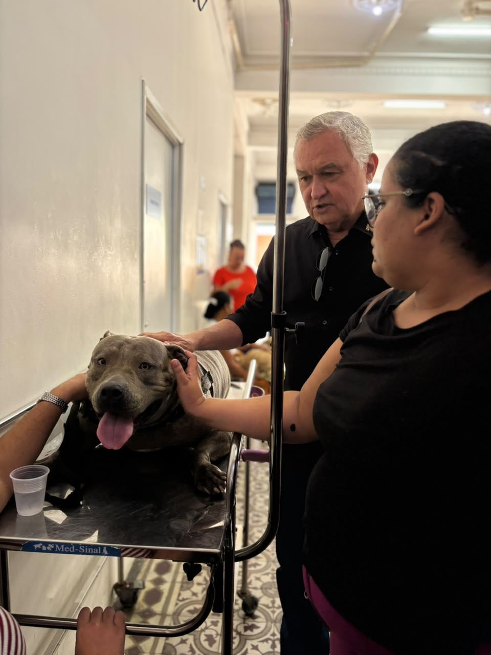 R$ 5 milhões destinados pelo General Girão fazem avançar Hospital Veterinário da Zona Norte de Natal